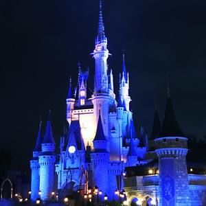 Meet your Posher, Leesa